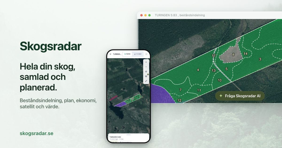 Skogsradar: digital skogsbruksplan för skogsägare